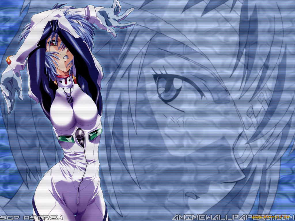 evangelion, 